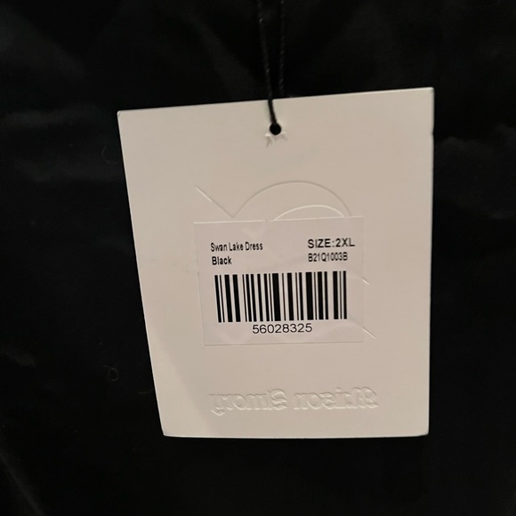 Maison Amory by Selkie Swan Lake Dress - Picture 3 of 4